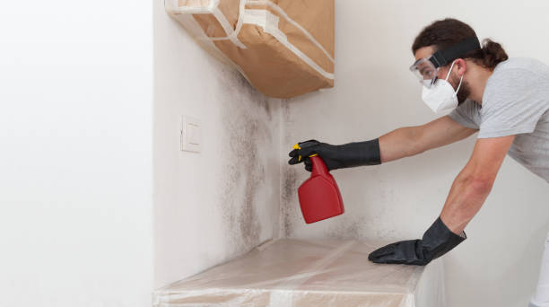 Professional Black Mold Remediation technician working in Lumberville, PA