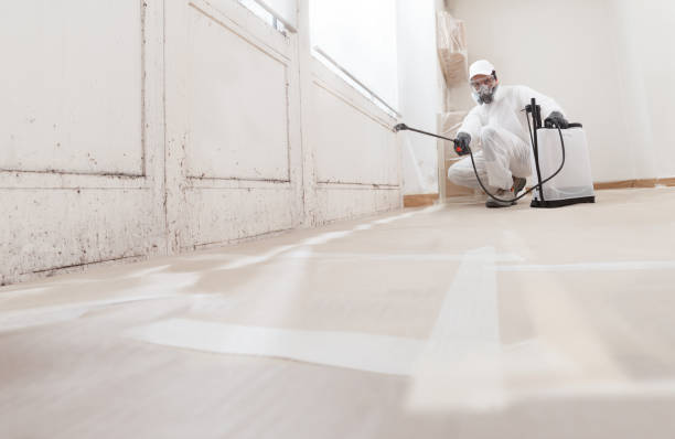 24/7 Emergency Black Mold Remediation experts in Lumberville, PA